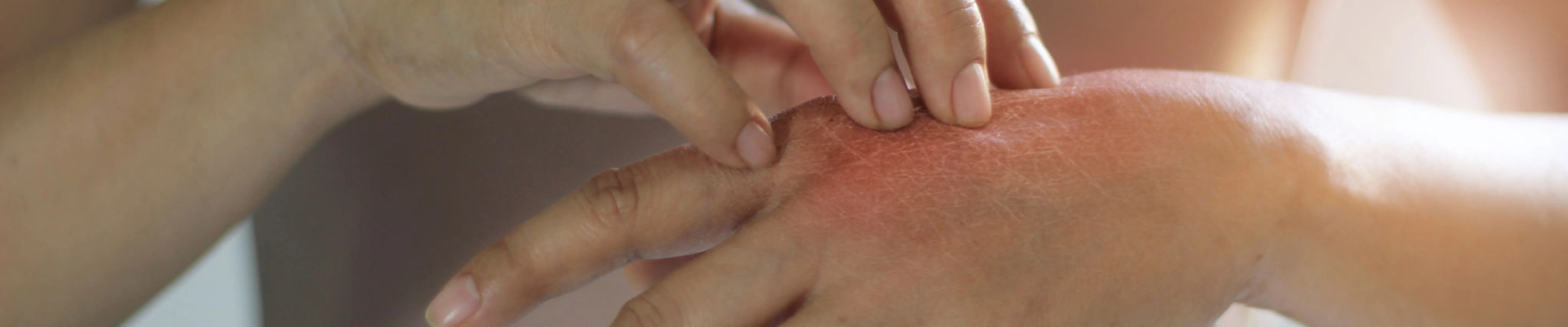 Allergy House Cleaning Services Brooklyn