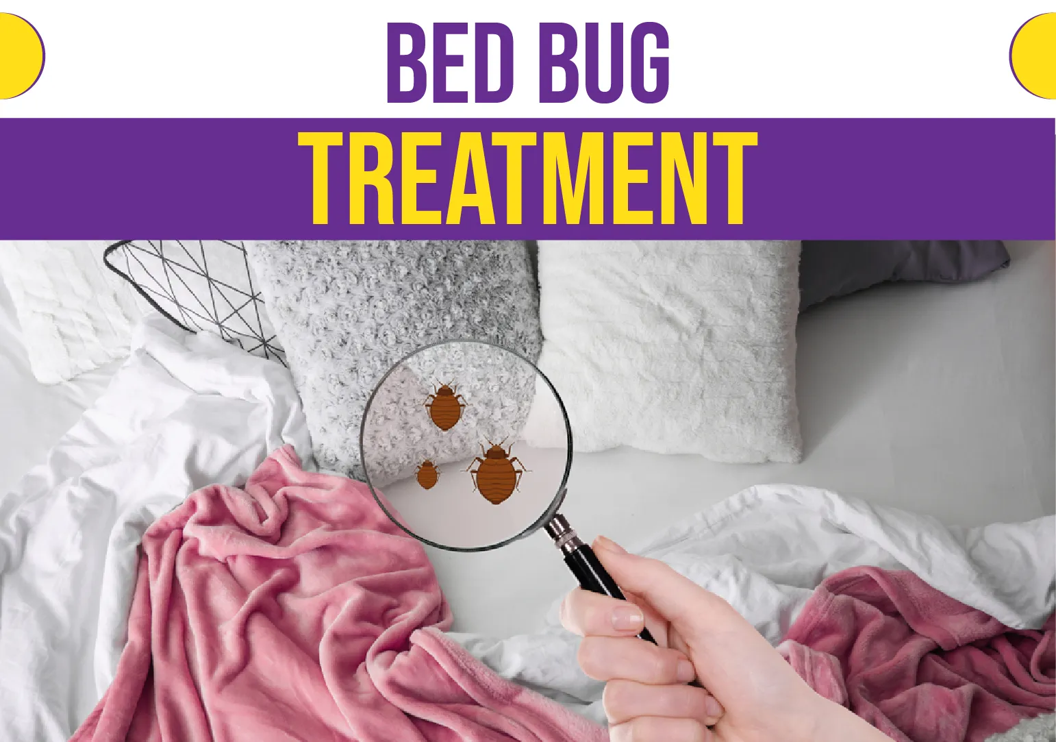 Bed Bug Treatment Brooklyn NY