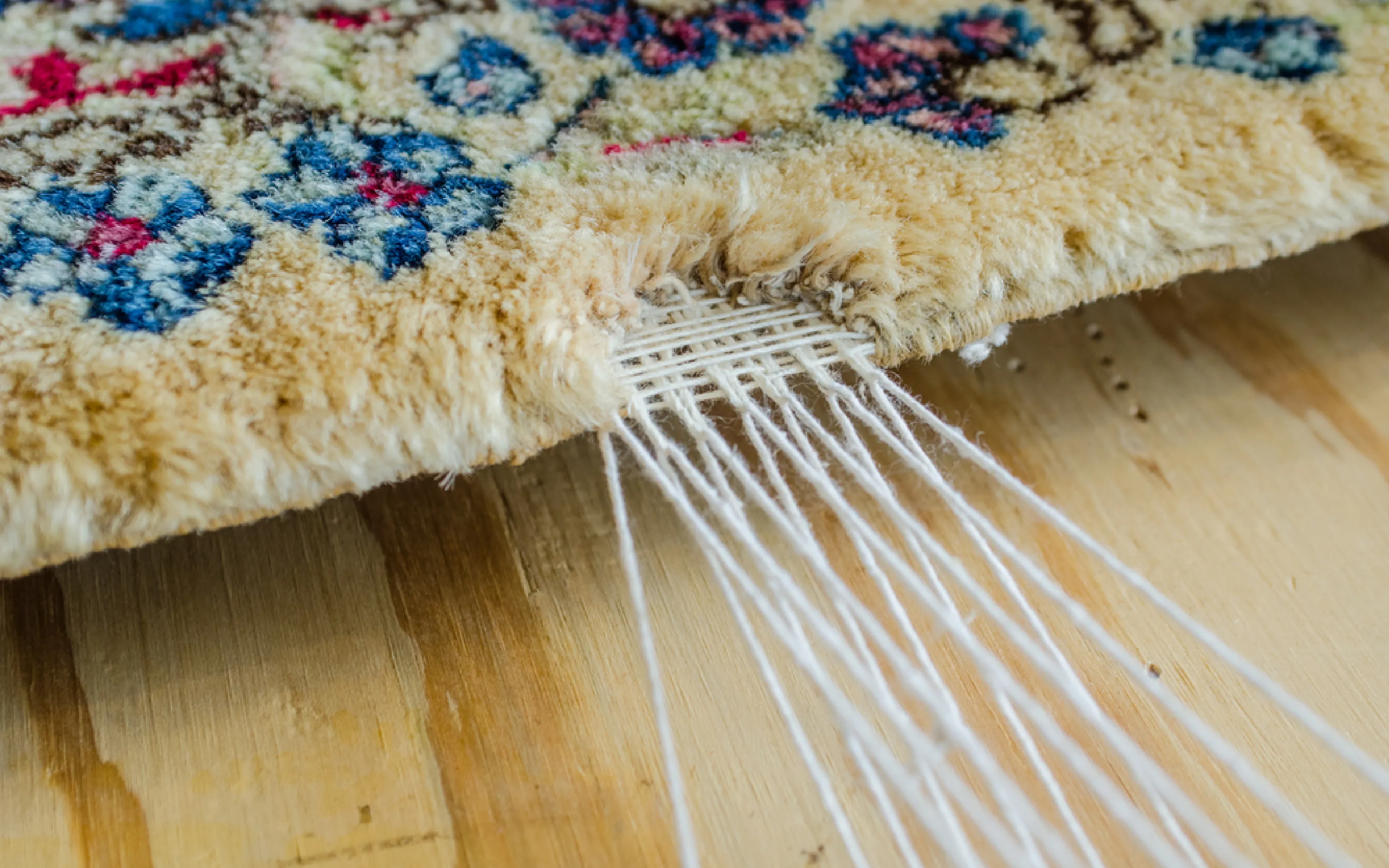 Eco Friendly Carpet Cleaning Brooklyn
