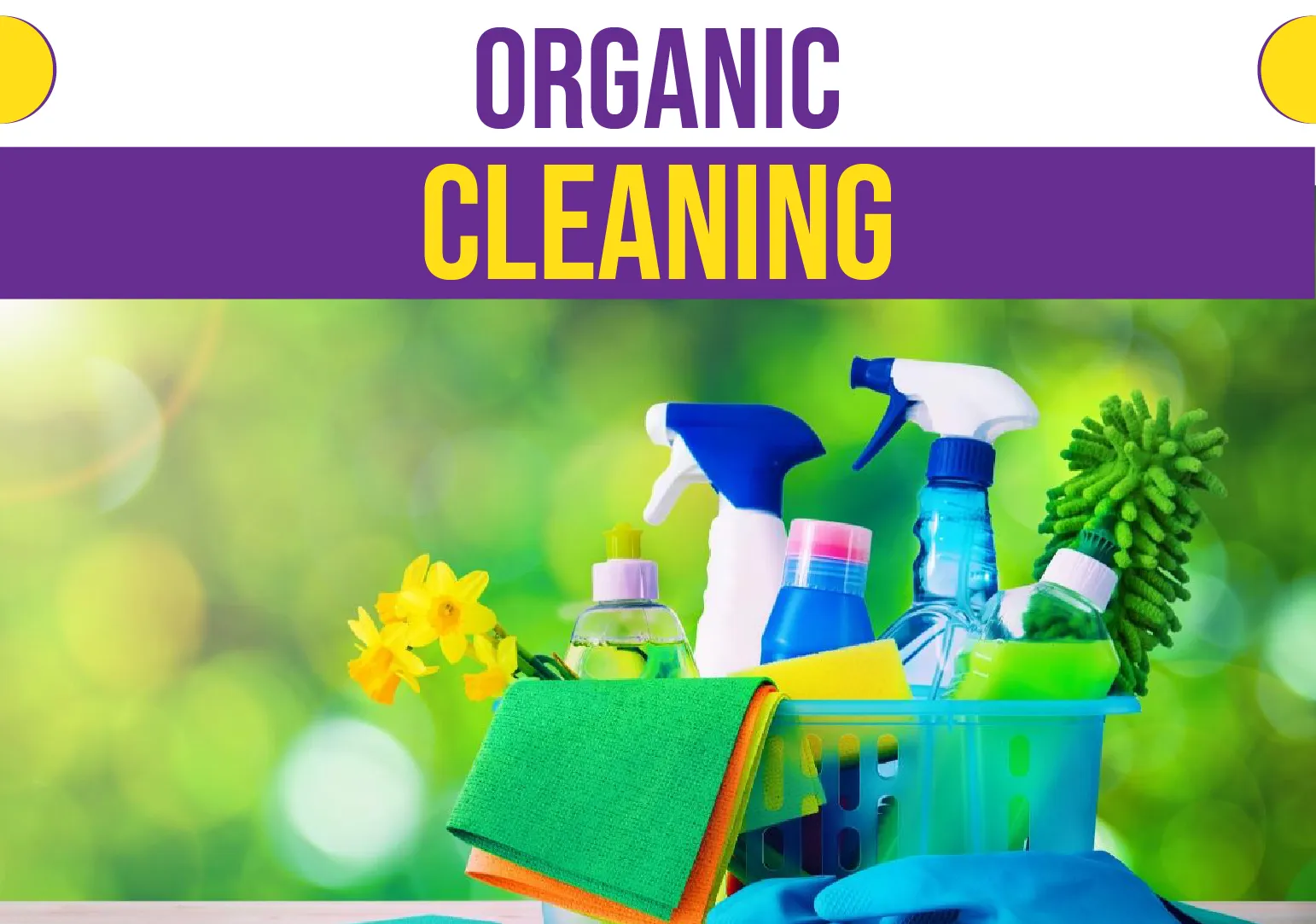 Organic Cleaning Services Brooklyn